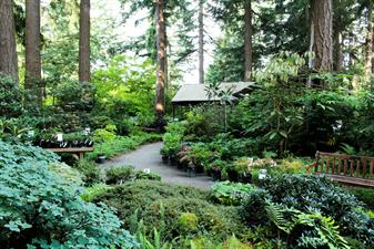 Rhododendron Species Botanical Garden Rhododendron Species Botanical Garden