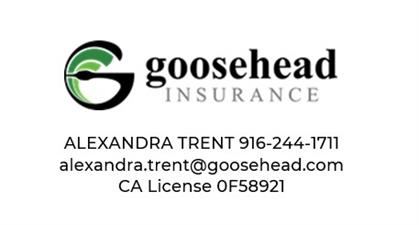 Goosehead Insurance Agency