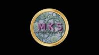 MKS Professionals LLC