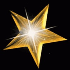 Shining Star Adult Program Shining Star Adult Program