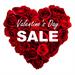 Valentine's Day Sale