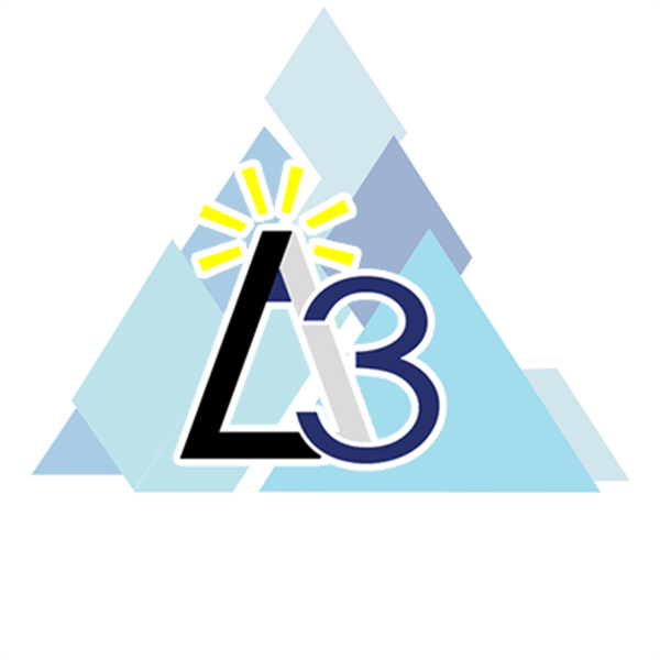 L 3 Capital. LLC L 3 Capital. LLC