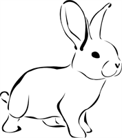 White Rabbit Business Solutions