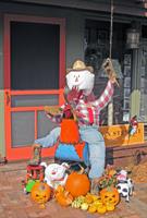 Our Rooster & Scarecrow won Fallfest Contest - Fall 2012!