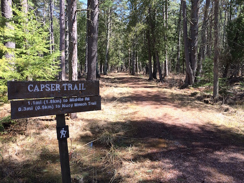 Capser trail in spring
