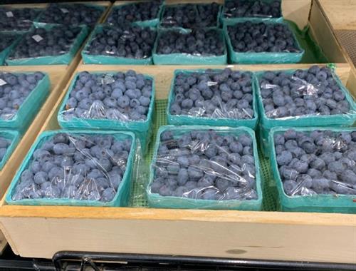 Bayfield blueberries