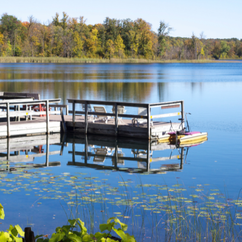 The lake is pristine, perfect for swimming, fishing or watching!