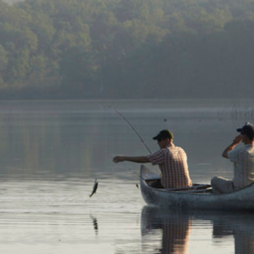 Our lake is excellent for fishing! 