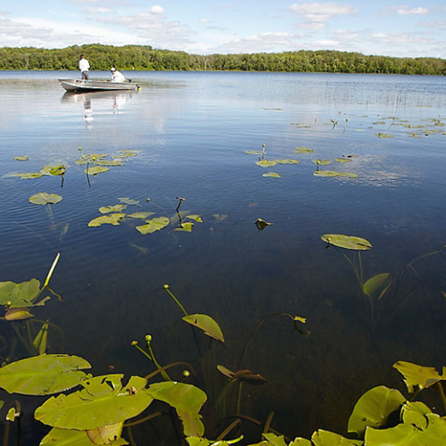 Swim and fish our crystal clear water!