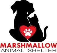 Marshmallow Animal Shelter