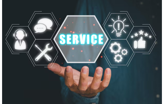 Professional Services