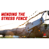 Mending the Stress Fence