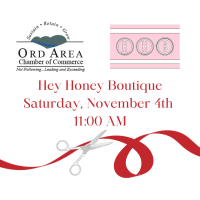 Ribbon Cutting: Hey Honey Boutique