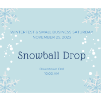 Snowball Drop