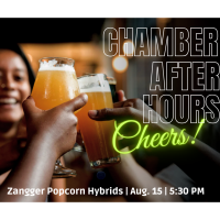 Chamber After Hours- Zangger Popcorn Hybrids