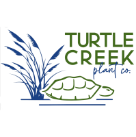 Turtle Creek Plant Co. Fall Opening