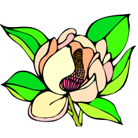 Steel Magnolias Garden Club Monthly Meeting