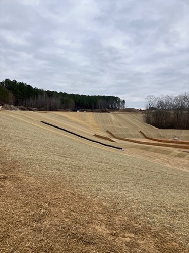 Gallery Image image004.jpg