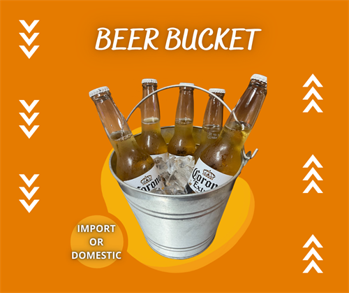 Beer Bucket 