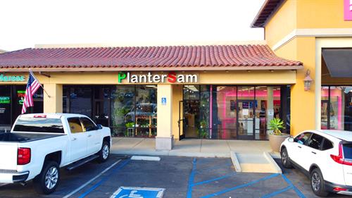 PlanterSam Front store 