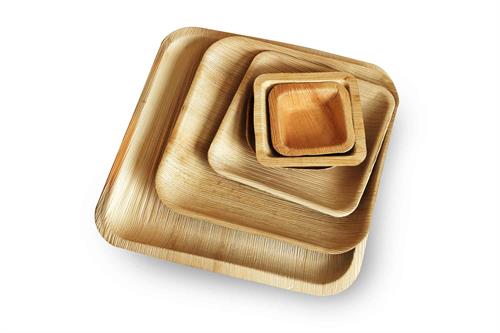 Palm Assorted Square Plates