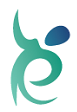 The Physical Therapy Effect, P.C.