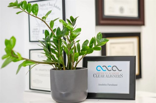 Gallery Image aaca.jpeg