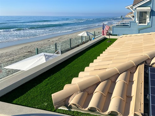 Gallery Image Green_Roof._Tile_Roof_2023-11-06_14.53.18.jpg