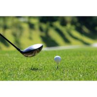 Golf Outing - Mayors' Cup, Open to Public, Chamber and Municipalities