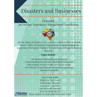Lunch and Learn:  Disasters and Business