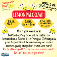 Lemonade Day - Lemonpalooza!! 