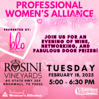 Professional Women's Alliance Winter Mixer