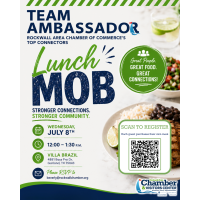 Ambassador Lunch Mob at Villa Brazil!