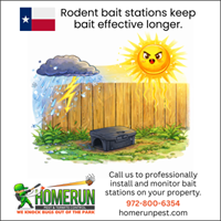 Why Rockwall Homes Benefit from Rodent Bait Stations
