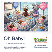 March in Rockwall, Texas: Why Pest Activity Ramps Up This Time of Year