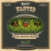 Summer's Most Wanted: The Chigger Crew