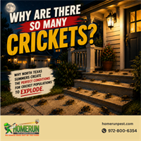 Summer Fun Outside. Pest Problems Inside...Crickets