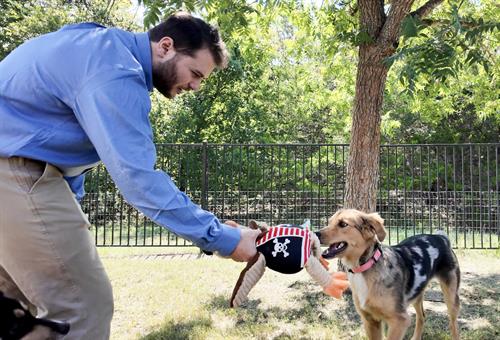 Gallery Image 3-Screenshot_2025-09-19_at_3.jpg