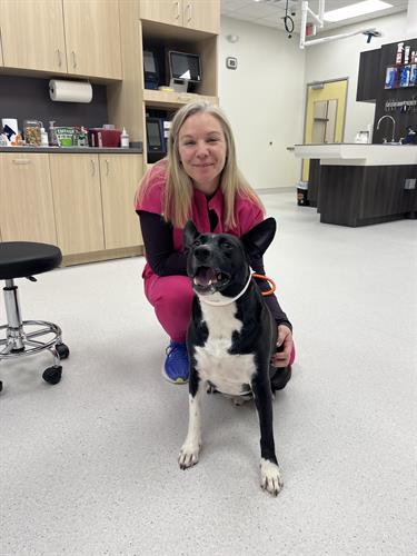 Gallery Image IMG_4848.jpeg