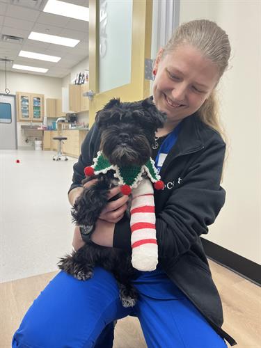 Gallery Image IMG_4980.jpeg