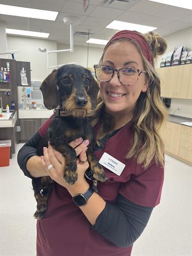 Gallery Image IMG_5007.jpeg