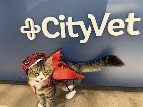 Gallery Image IMG_9627.JPEG