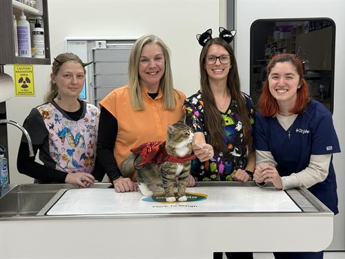 Gallery Image IMG_9642.JPEG