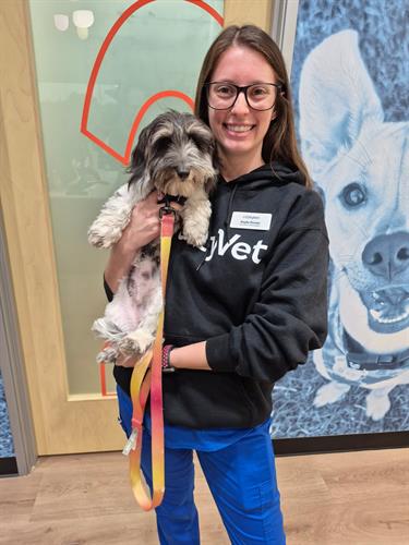 Gallery Image image000000.jpeg