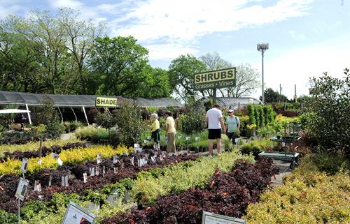 Gallery Image g20.jpg