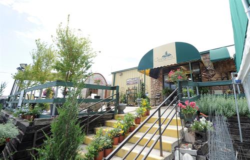 Gallery Image g9.jpg