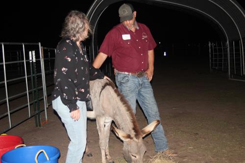 Gallery Image IMG_7819.JPG