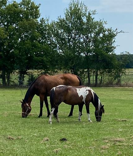 Gallery Image RebaandShyAnn_2.jpg