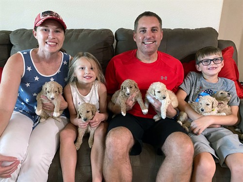 Gallery Image Boutique-Doodles-Litter.jpg