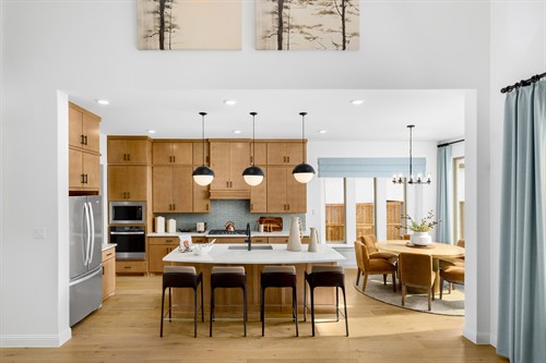 Gallery Image DFW_Cambridge_Crossing_Humble_2233_Pinner_Court_(5).jpg